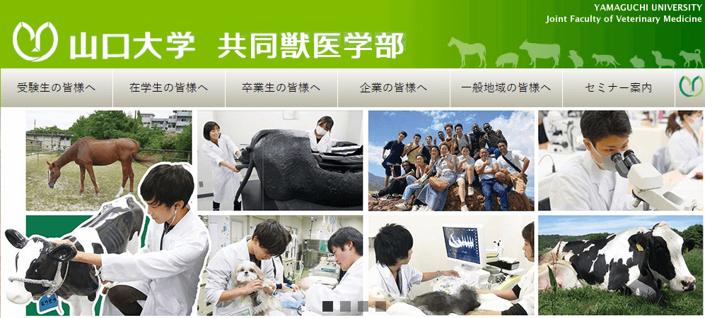 山口大学共同獣医学部_HPキャプチャ