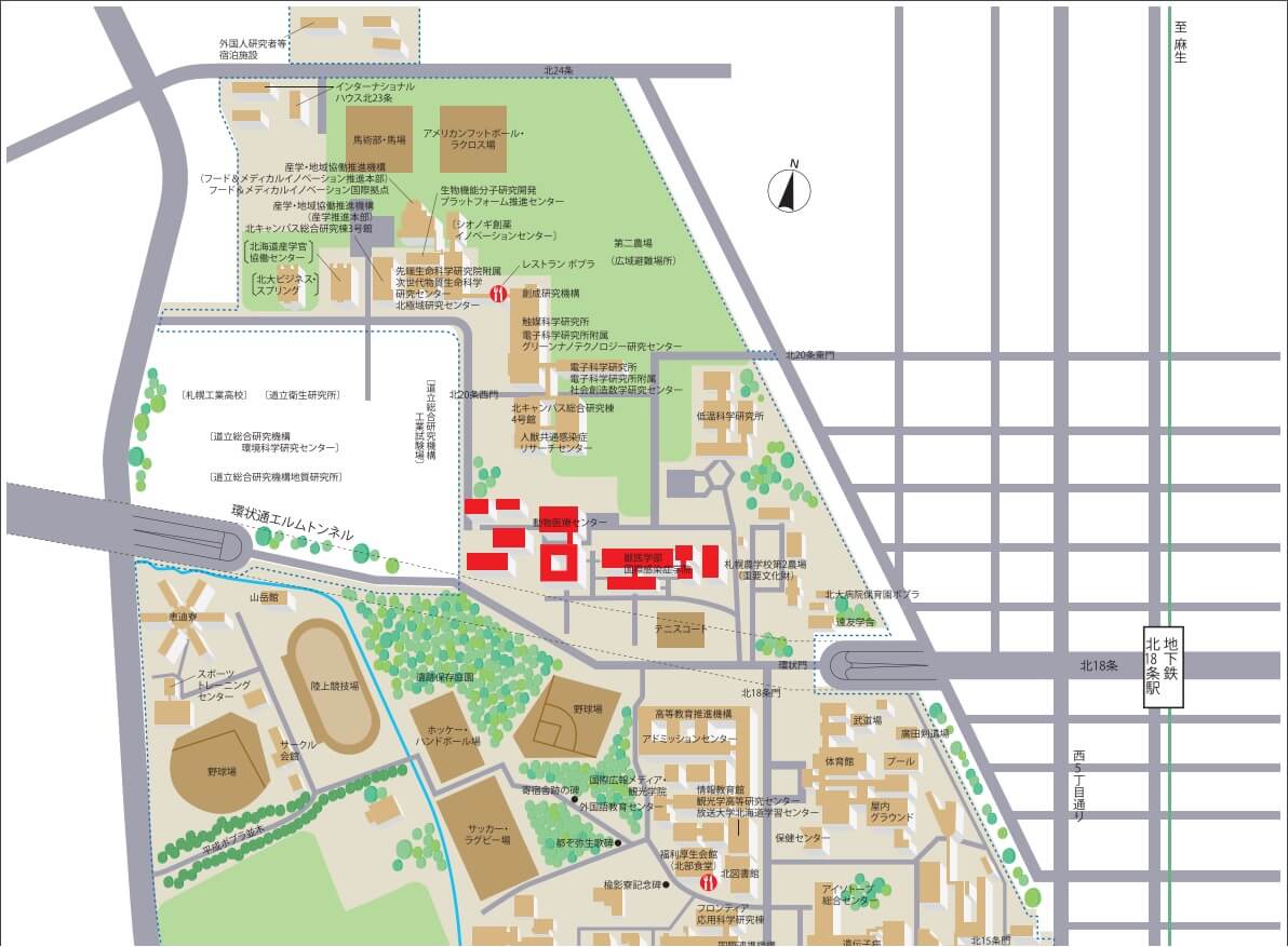 北海道大学_アクセス